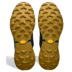 buty biegowe męskie Dynafit Ultra 100 GTX- 08- 64089- 0708 lichen/ atlantic
