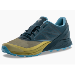 buty biegowe męskie Dynafit Alpine 08- 64064- 5471 army/ blueberry