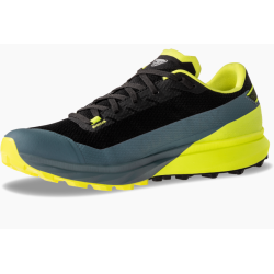 buty biegowe męskie Dynafit Ultra GTX 08- 64109- 0890 hurricane/ black out