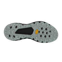 Dynafit Trail Graphic W / Chili Sport