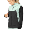 Dynafit Transalper DST Vest W / Chili Sport