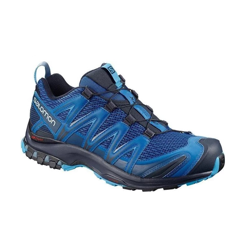 buty biegowe Salomon XA PRO 3D - sky diver