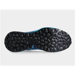 buty biegowe DYNAFIT ULTRA 100 GTX- reef/ ibis