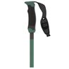 kije Atomic Redster Q Carbon SQS Green- 125 cm
