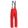 Spodnie narciarskie męskie M SAVOR 2L GTX PANT dark red
