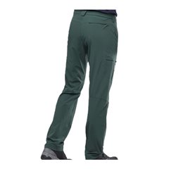 Spodnie męskie Salomon Wayfarer Straight- green gables