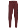 spodnie męskie Atomic RS Sweat Pant- maroon