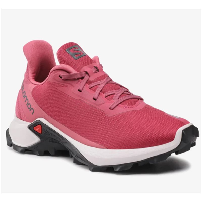 buty biegowe Salomon Alphacross 3 W earth red