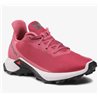 buty biegowe Salomon Alphacross 3 W earth red