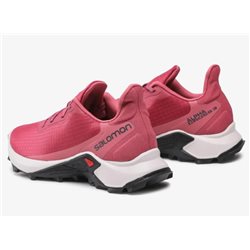 buty biegowe Salomon Alphacross 3 W earth red
