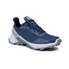 buty biegowe Slomon Alphacross GTX W- sargasso sea