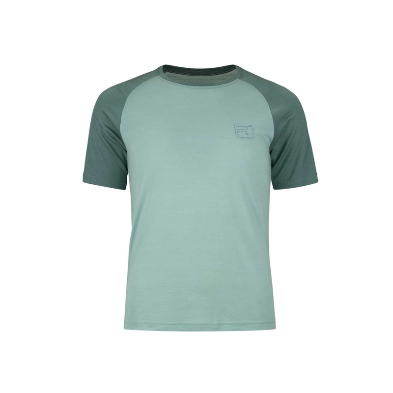 koszulka damska Ortovox 185 MERINO PATCH TS/ Chili Sport