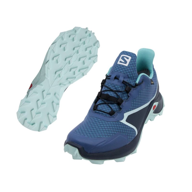 buty biegowe SALOMON FIERYCROSS GTX W- blue indigo