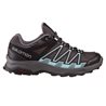 buty biegowe Salomon Leonis GTX W- magnet/phantom