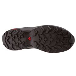 buty biegowe Salomon Leonis GTX W- magnet/phantom