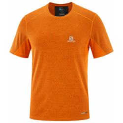 koszulka męska Salomon Trail Runner SS Tee- clementine-x