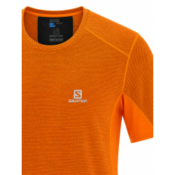 koszulka męska Salomon Trail Runner SS Tee- clementine-x