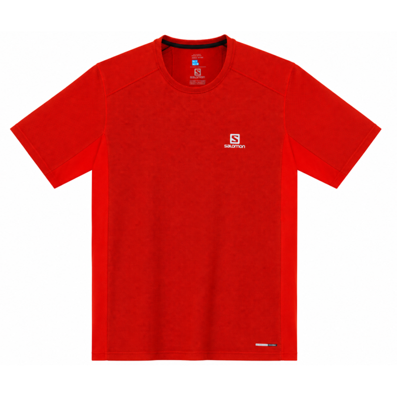 koszulka męska Salomon Trail Runner SS Tee- barbados cherry