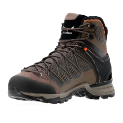 buty trekkingowe męskie Salewa MTN Trainer Lite MID GTX- bungee cord/ black