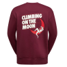 Bluza męska La Sportiva Moon Rock Sweater U- redwood/chalk